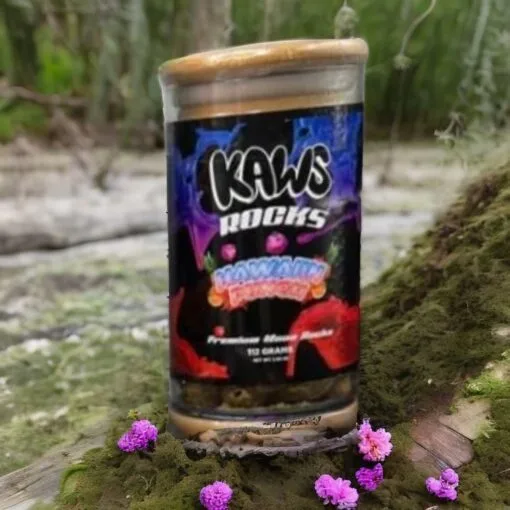 Legendary Kaws moonRocks Hawaiian Punch